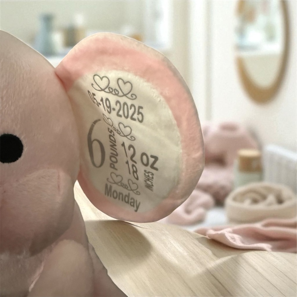 Birth Statistics Elephant - Picture 4 of 8